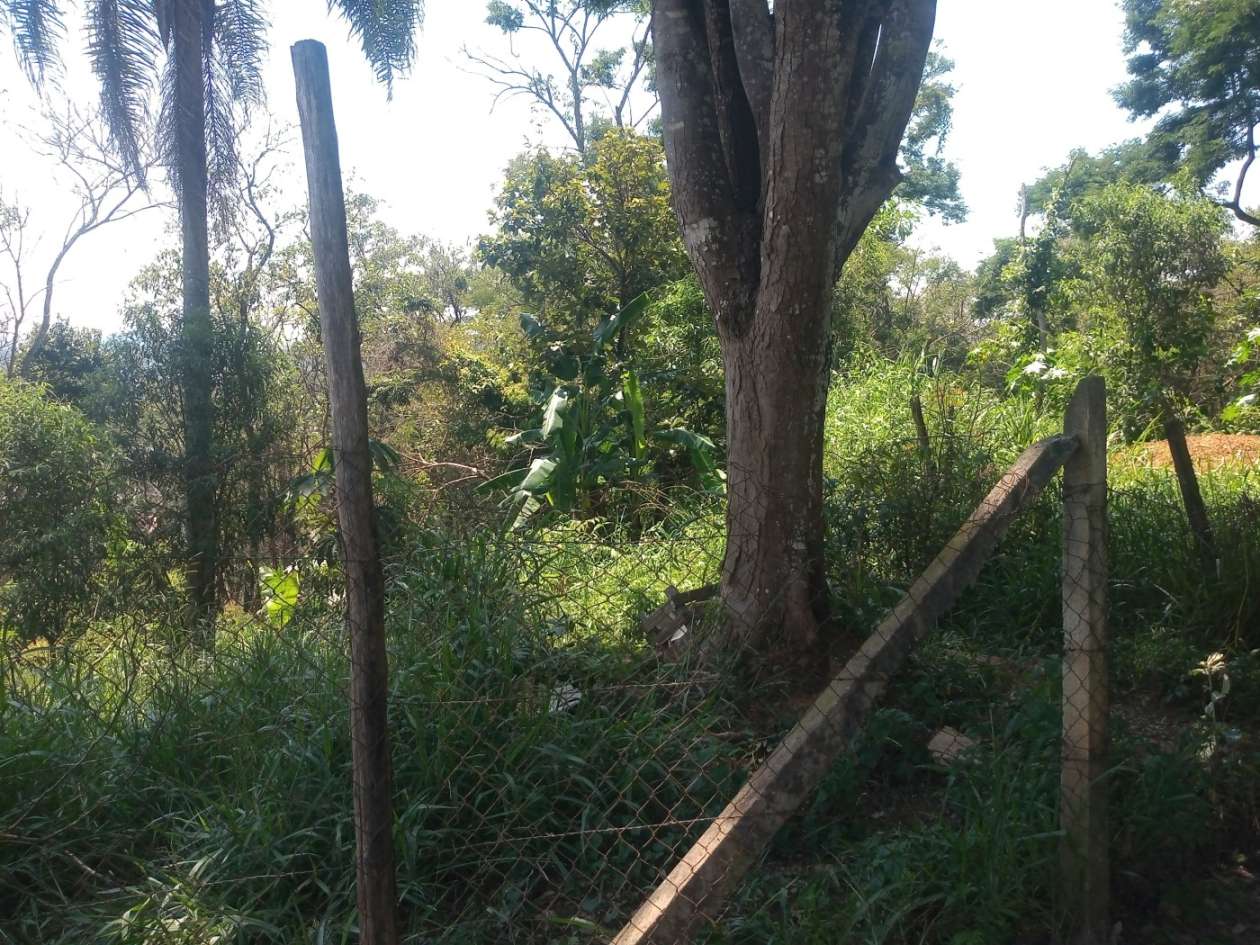 Terreno, 1620 m² - Foto 3