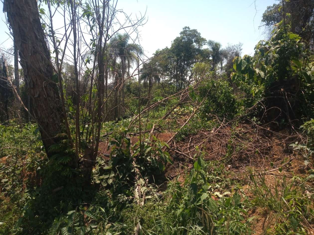 Terreno, 1620 m² - Foto 2