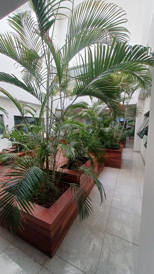 Sala-Conjunto, 40 m² - Foto 11