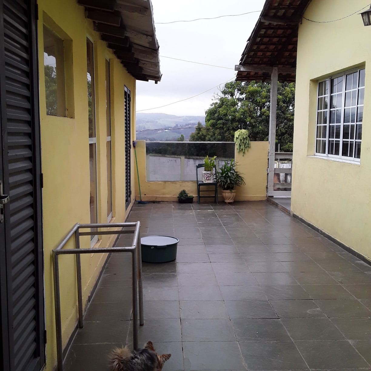 Chácara, 3 quartos, 530 m² - Foto 10