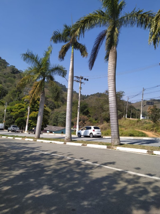 Chácara, 3 quartos, 530 m² - Foto 32
