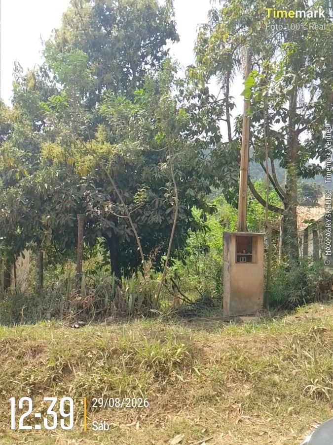 Terreno, 1157 m² - Foto 5