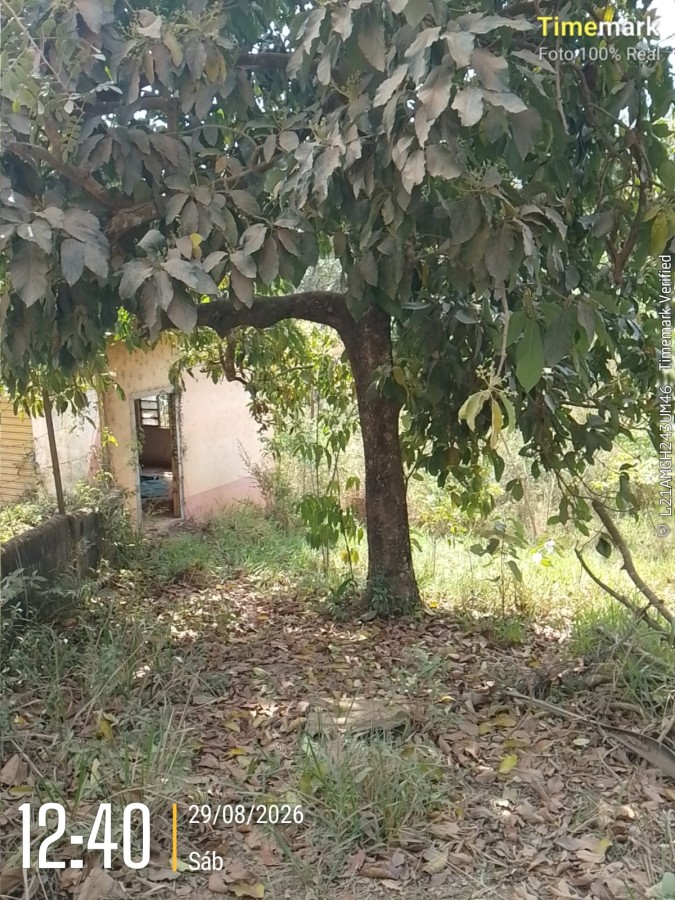 Terreno, 1157 m² - Foto 6